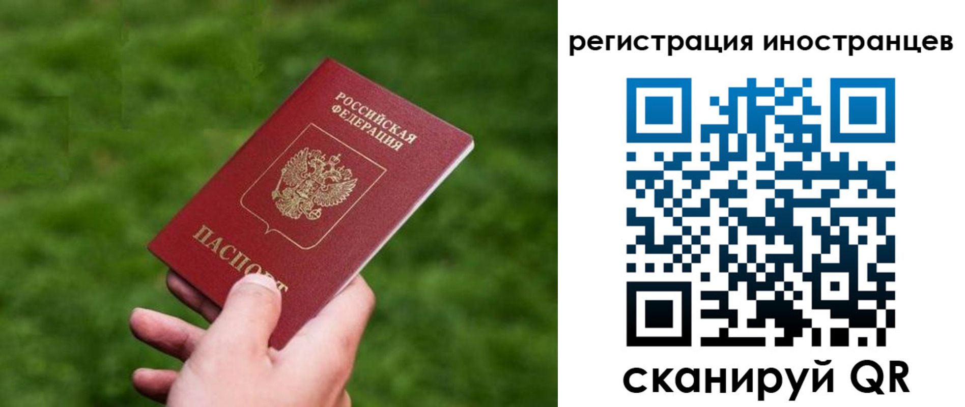 прописка ребенка в Покрове